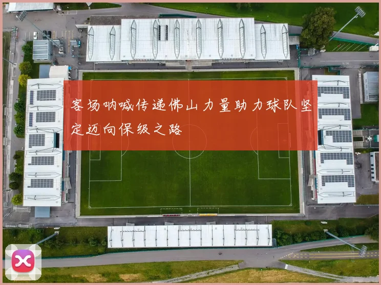 客场呐喊传递佛山力量助力球队坚定迈向保级之路