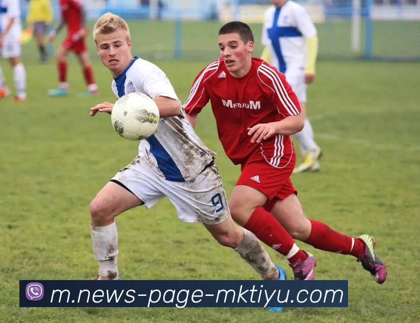 MK体育平台生态图