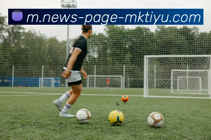 MK体育APP 封面图